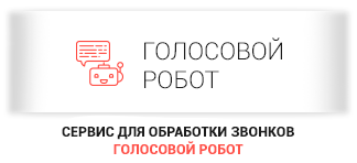 Voice Bot.png